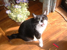 a0011999_02431.jpg