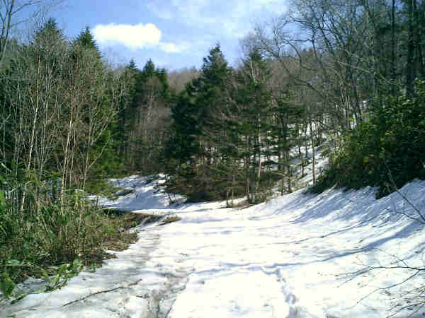 a0009040_172122.jpg