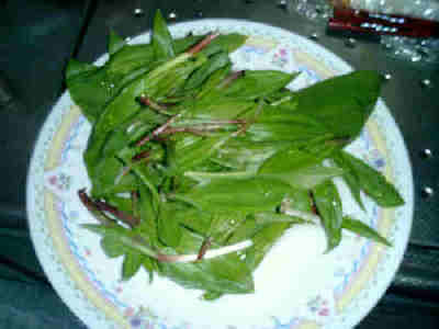 a0009040_173854.jpg