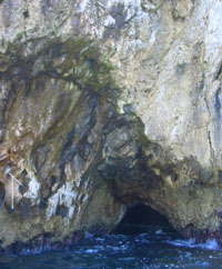 a0004722_165622.jpg