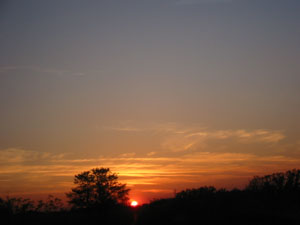 a0004722_222922.jpg