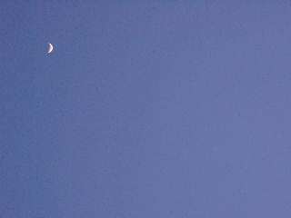 a0009747_19338.jpg