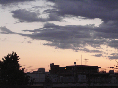 a0013134_1526.jpg