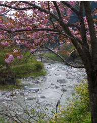 a0009747_21354.jpg