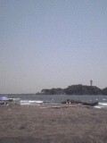 a0000273_115241.jpg