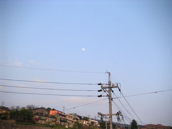 a0013068_18586.jpg