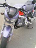 a0000104_73227.jpg