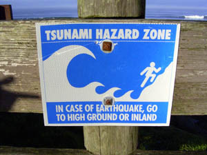 TSUNAMI_a0015074_123253.jpg