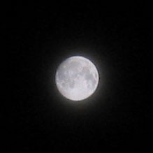 a0001756_0448.jpg