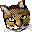 a0011717_183855.gif