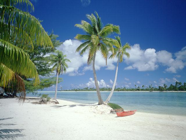 a0016513_01540.jpg