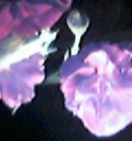 a0012754_12157.jpg