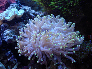 a0017072_11127.jpg