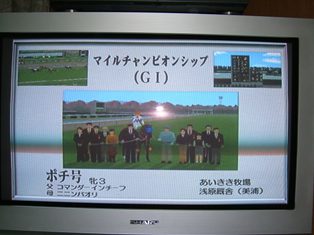 a0002447_01818.jpg