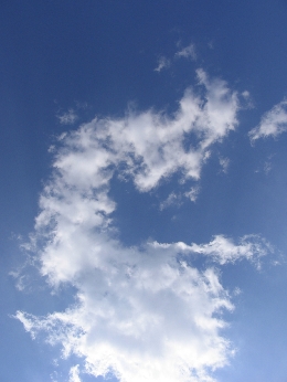 晴れの日_a0002672_142632.jpg