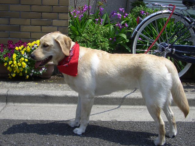a0004044_22114.jpg