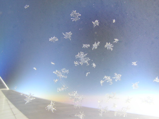 a0021009_12297.jpg