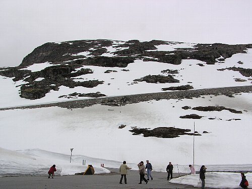 a0021009_123138.jpg