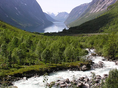 a0021009_131014.jpg