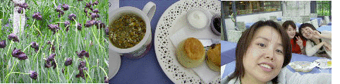 a0012754_23958.gif