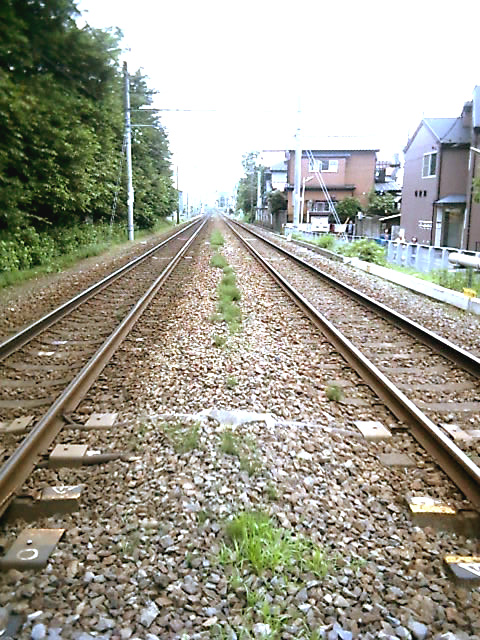 a0019601_21513.jpg