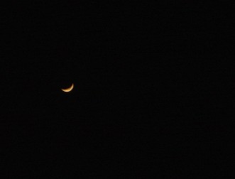 a0002721_23175.jpg