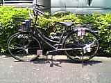 a0021702_5615.jpg