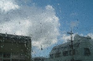 a0019603_12030.jpg