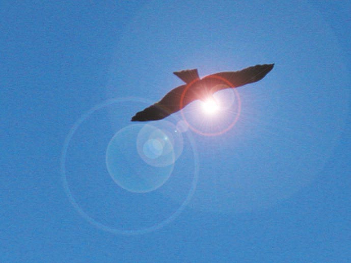 a0013236_1796.jpg