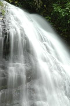 a0020184_18244.jpg