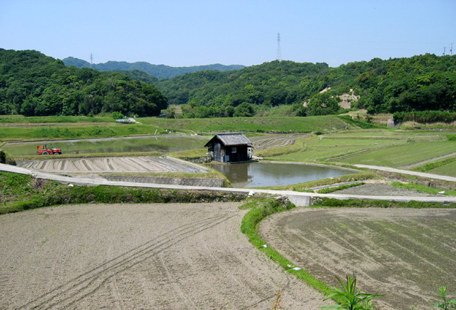 淡路島_a0004986_161712.jpg