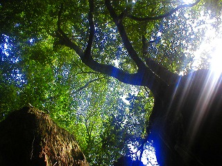 a0017161_51456.jpg