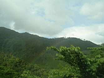 a0011451_92240.jpg