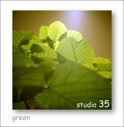 green_a0012516_222725.jpg