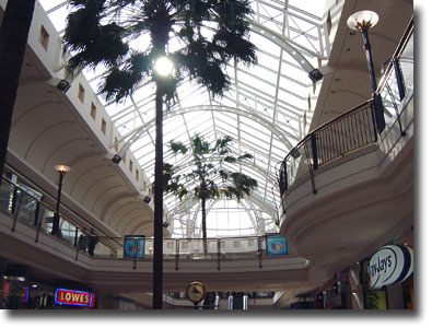 a0012318_222544.jpg