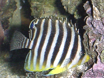 a0017072_19056.jpg