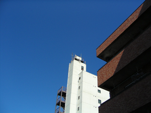 a0013134_22458.jpg