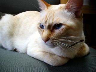 a0001144_22410.jpg