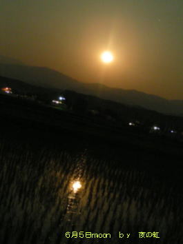 a0009747_084.jpg