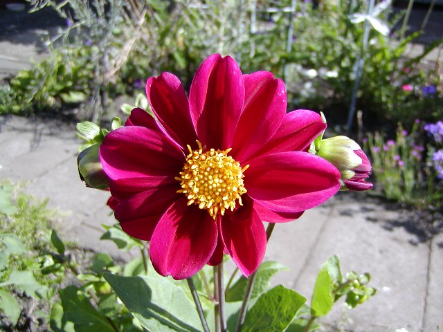 a0004023_93230.jpg