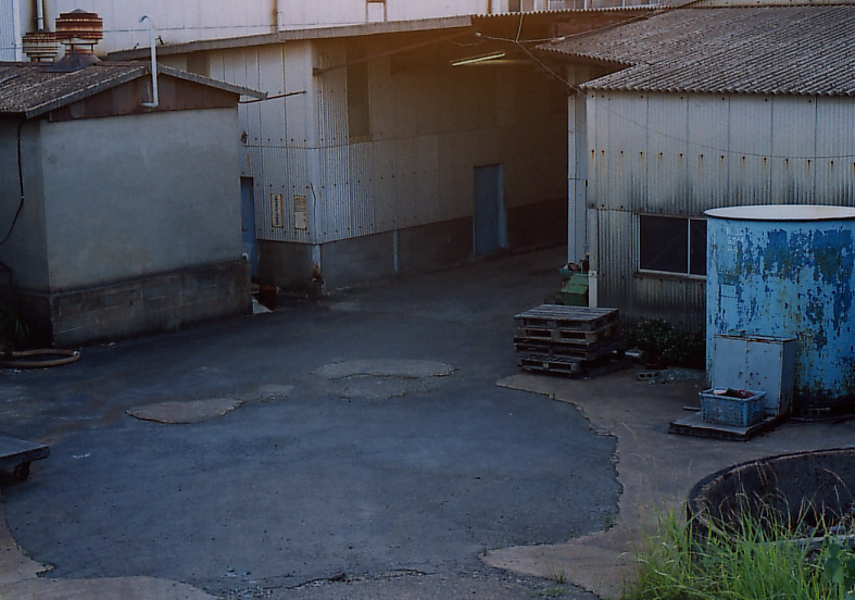 a0022625_22503.jpg