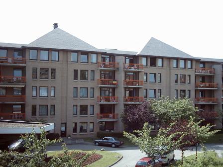 a0010481_1930.jpg