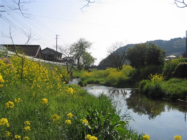 a0027555_13634.jpg