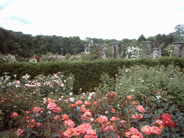 a0010481_23022.jpg