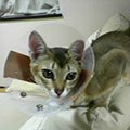a0009397_22100.jpg