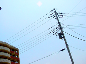 a0025646_4617.jpg