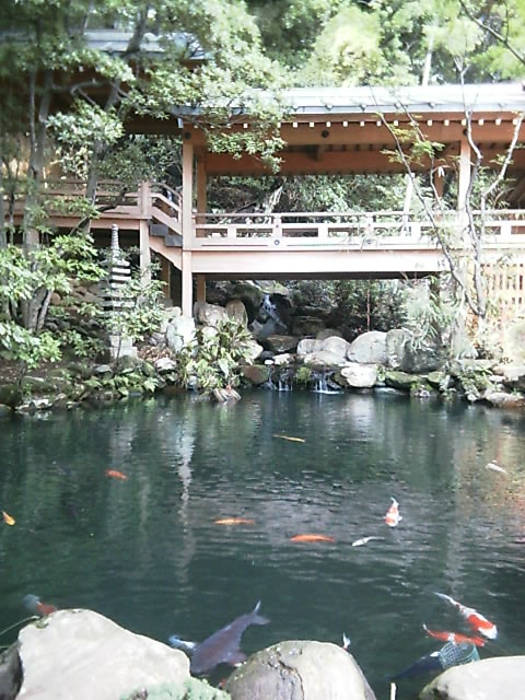 a0019601_0574.jpg