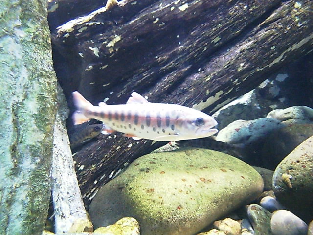 a0019601_1232.jpg