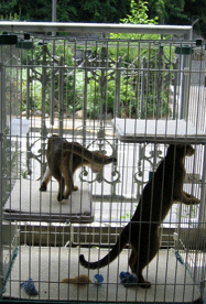 a0009397_13955.gif
