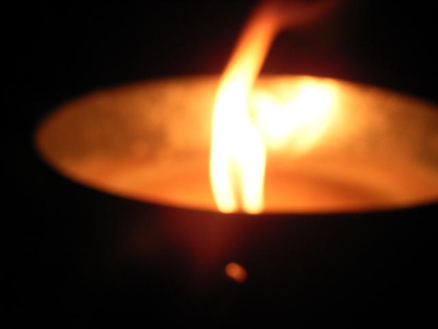 a0018572_4368.jpg